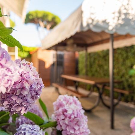 Apartment Holiday Versilia Camaiore Ngoại thất bức ảnh