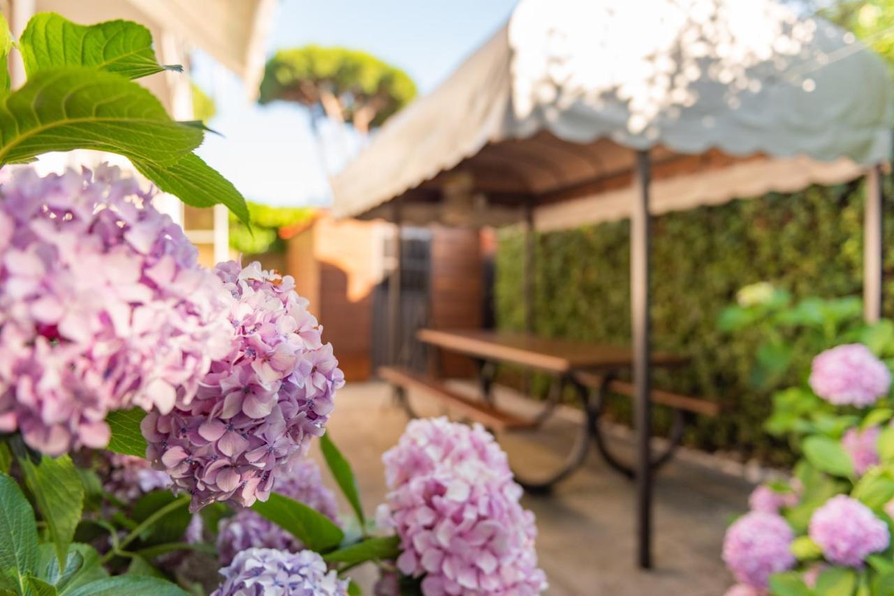 Apartment Holiday Versilia Camaiore Ngoại thất bức ảnh